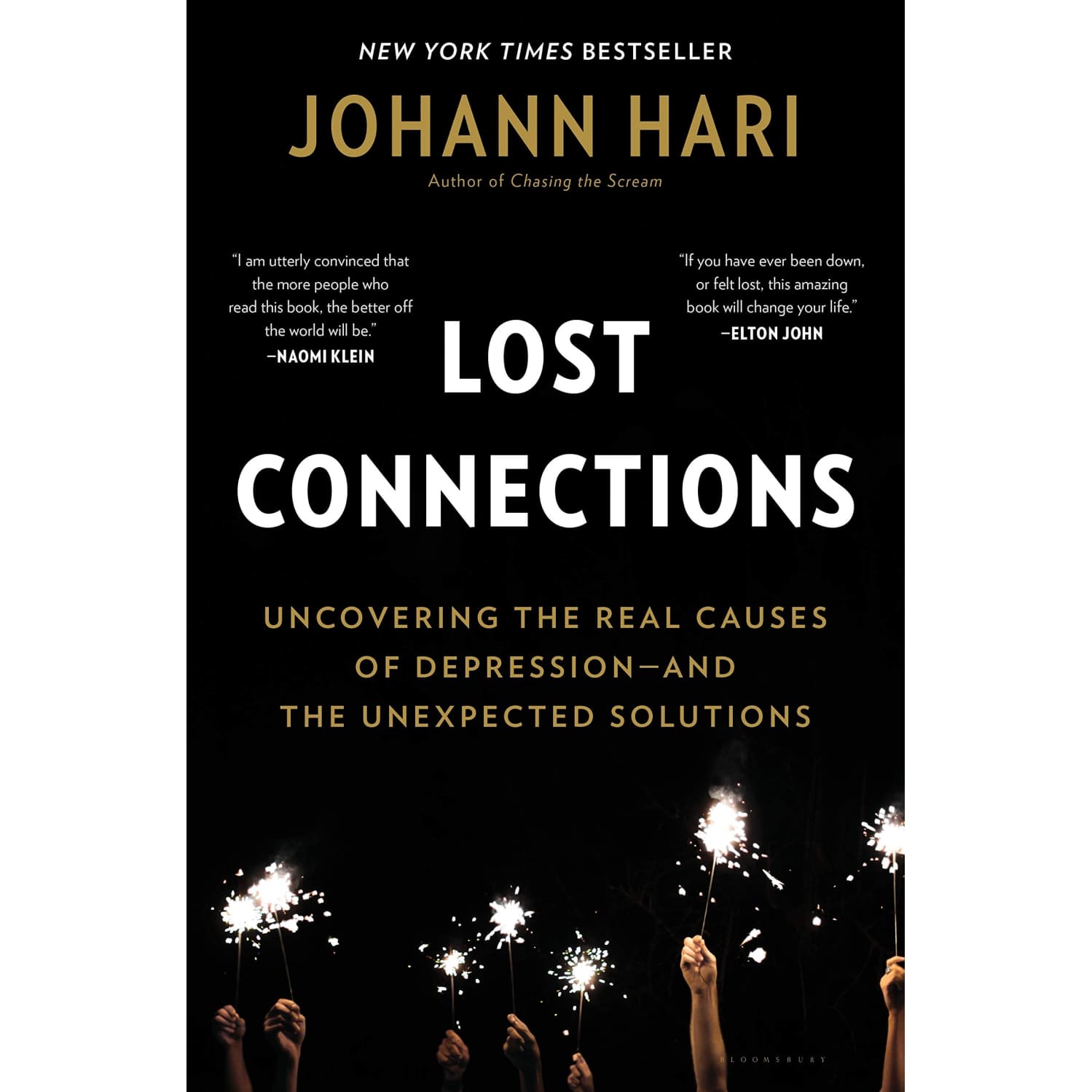 Cover of Lost Connections